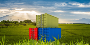 shipping container grass-placement tips